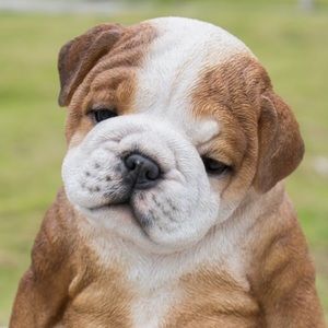 Meet your Posher, Anael